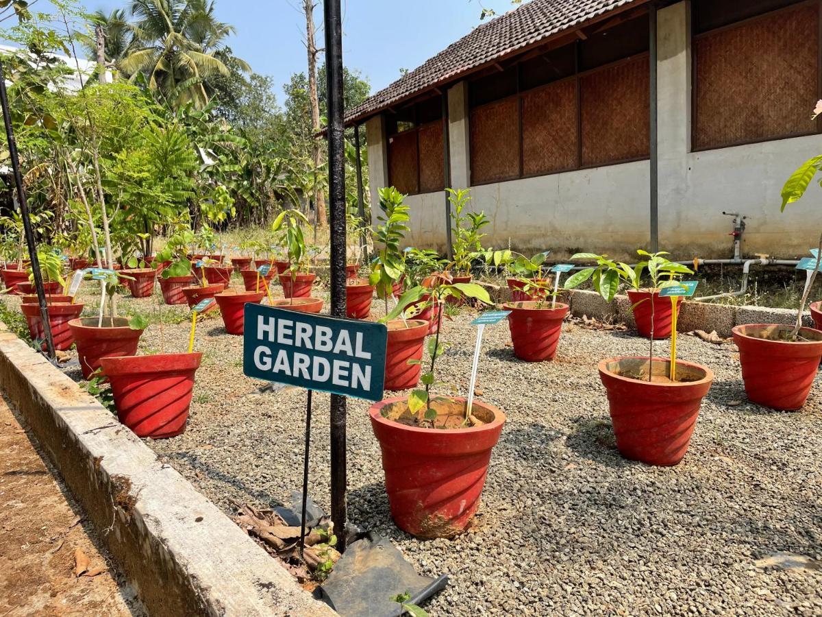 Ayuryogashram Heritage Thrissur المظهر الخارجي الصورة